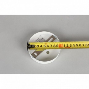 Люстра на штанге Omnilux Mearino OML-29717-08 в Нижневартовске - nizhnevartovsk.mebel24.online | фото 10