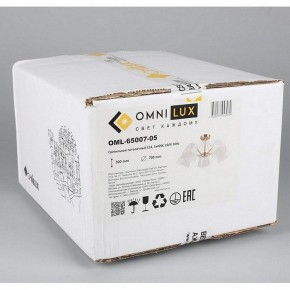 Люстра на штанге Omnilux Rapallo OML-65007-05 в Нижневартовске - nizhnevartovsk.mebel24.online | фото 5