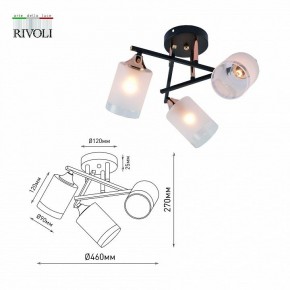 Люстра на штанге Rivoli Fiona Б0059259 в Нижневартовске - nizhnevartovsk.mebel24.online | фото