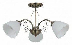 Люстра на штанге Rivoli Sue Б0060985 в Нижневартовске - nizhnevartovsk.mebel24.online | фото