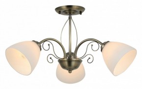 Люстра на штанге Rivoli Sue Б0060985 в Нижневартовске - nizhnevartovsk.mebel24.online | фото 2