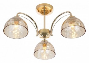 Люстра на штанге Rivoli Terri Б0060988 в Нижневартовске - nizhnevartovsk.mebel24.online | фото
