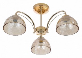 Люстра на штанге Rivoli Terri Б0060988 в Нижневартовске - nizhnevartovsk.mebel24.online | фото 2