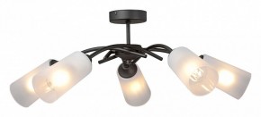 Люстра на штанге Vitaluce V2850 V2850-1/5PL в Нижневартовске - nizhnevartovsk.mebel24.online | фото