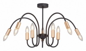 Люстра на штанге Vitaluce V3026 V3026-1/10PL в Нижневартовске - nizhnevartovsk.mebel24.online | фото 2