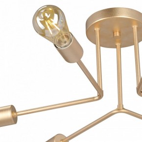 Люстра на штанге Vitaluce V3071 V3071-8/6PL в Нижневартовске - nizhnevartovsk.mebel24.online | фото 6