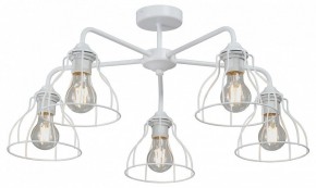 Люстра на штанге Vitaluce V3102 V3102-0/5PL в Нижневартовске - nizhnevartovsk.mebel24.online | фото