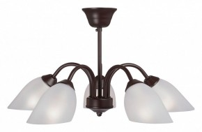 Люстра на штанге Vitaluce V3335 V3335-7/5PL в Нижневартовске - nizhnevartovsk.mebel24.online | фото