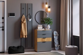 МЕБЕЛЬСОН К21 Прихожая  (графит) в Нижневартовске - nizhnevartovsk.mebel24.online | фото