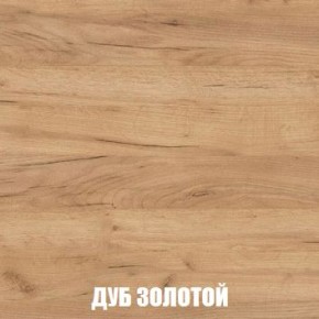 МСП-1 Шкаф 2-х створчатый (Дуб Золотой/Камень темный) в Нижневартовске - nizhnevartovsk.mebel24.online | фото 4