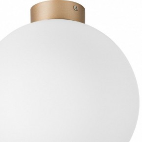 Накладной светильник Lightstar Globo 812033 в Нижневартовске - nizhnevartovsk.mebel24.online | фото 2