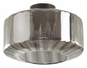 Накладной светильник Odeon Light Binga 4746/1C в Нижневартовске - nizhnevartovsk.mebel24.online | фото 2