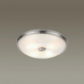Накладной светильник Odeon Light Pelow 4957/4 в Нижневартовске - nizhnevartovsk.mebel24.online | фото 2