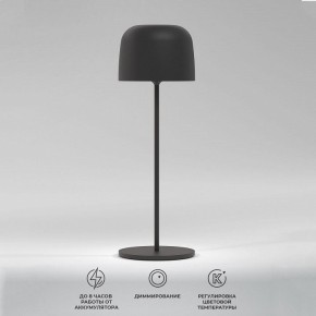 Настольная лампа декоративная Elektrostandard Bitty a069002 в Нижневартовске - nizhnevartovsk.mebel24.online | фото 2