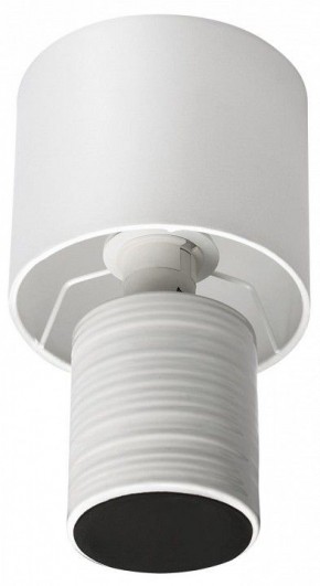 Настольная лампа декоративная Lumion Tuala 8144/1Т в Нижневартовске - nizhnevartovsk.mebel24.online | фото 3