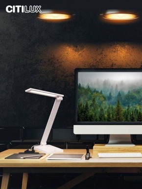 Настольная лампа офисная Citilux Ньютон CL803080 в Нижневартовске - nizhnevartovsk.mebel24.online | фото 10