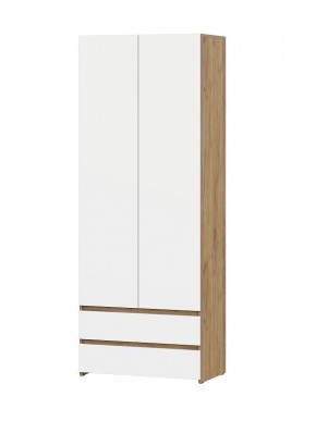НЕКСТ 1 Шкаф двухстворчатый с ящиками в Нижневартовске - nizhnevartovsk.mebel24.online | фото