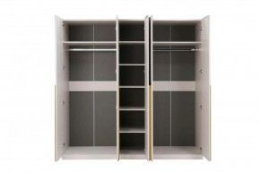НИКОЛЬ 25 Шкаф 5-ти створчатый в Нижневартовске - nizhnevartovsk.mebel24.online | фото 3