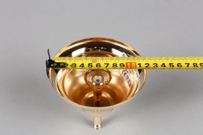 Подвесная люстра Aployt Daniele APL.701.03.12 в Нижневартовске - nizhnevartovsk.mebel24.online | фото 6