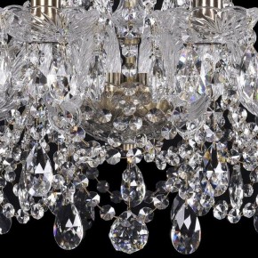 Подвесная люстра Bohemia Ivele Crystal 1411 1411/10/195/Pa в Нижневартовске - nizhnevartovsk.mebel24.online | фото 3