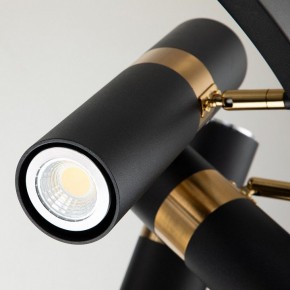 Подвесная люстра Favourite Light point 2997-9P в Нижневартовске - nizhnevartovsk.mebel24.online | фото 5