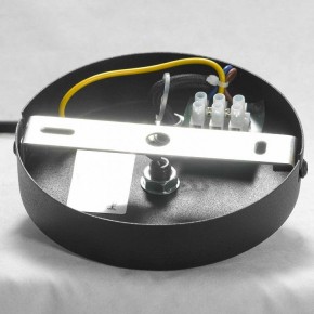 Подвесная люстра Lussole Huron LSP-8156 в Нижневартовске - nizhnevartovsk.mebel24.online | фото 8