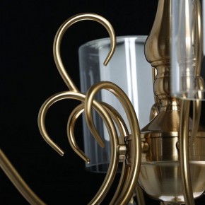 Подвесная люстра MW-Light Эллегия 8 303012708 в Нижневартовске - nizhnevartovsk.mebel24.online | фото 7