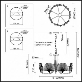 Подвесная люстра Odeon Light Ventaglio 4870/7 в Нижневартовске - nizhnevartovsk.mebel24.online | фото 6
