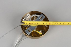 Подвесная люстра Omnilux Ales OML-69103-06 в Нижневартовске - nizhnevartovsk.mebel24.online | фото 11