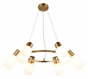 Подвесная люстра Omnilux Ales OML-69103-06 в Нижневартовске - nizhnevartovsk.mebel24.online | фото 2