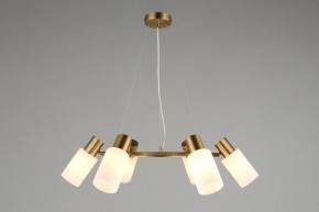 Подвесная люстра Omnilux Ales OML-69103-06 в Нижневартовске - nizhnevartovsk.mebel24.online | фото 4