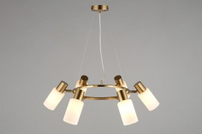 Подвесная люстра Omnilux Ales OML-69103-06 в Нижневартовске - nizhnevartovsk.mebel24.online | фото 6
