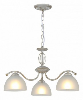 Подвесная люстра Rivoli Valerie Б0060979 в Нижневартовске - nizhnevartovsk.mebel24.online | фото 3
