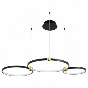 Подвесной светильник Divinare Amadeo 1123/04 SP-75 в Нижневартовске - nizhnevartovsk.mebel24.online | фото