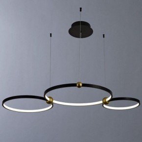 Подвесной светильник Divinare Amadeo 1123/04 SP-75 в Нижневартовске - nizhnevartovsk.mebel24.online | фото 2