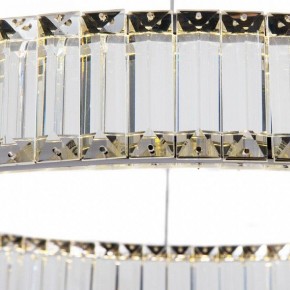 Подвесной светильник Divinare Renata 1135/02 SP-36 в Нижневартовске - nizhnevartovsk.mebel24.online | фото 3