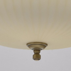 Подвесной светильник MW-Light Афродита 1 317010504 в Нижневартовске - nizhnevartovsk.mebel24.online | фото 9