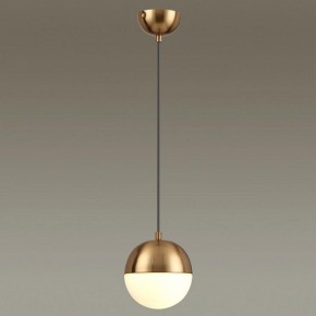 Подвесной светильник Odeon Light Pinga 4960/1 в Нижневартовске - nizhnevartovsk.mebel24.online | фото 2