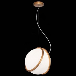 Подвесной светильник ST-Luce Acerra SL1181.353.01 в Нижневартовске - nizhnevartovsk.mebel24.online | фото 4