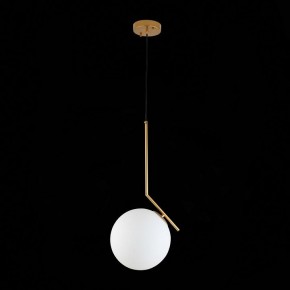 Подвесной светильник ST-Luce Codda SL1148.303.01 в Нижневартовске - nizhnevartovsk.mebel24.online | фото 6