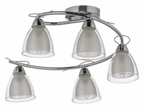 Потолочная люстра Arti Lampadari Paola, Tavenna Nickel Paola E 1.1.5 N в Нижневартовске - nizhnevartovsk.mebel24.online | фото