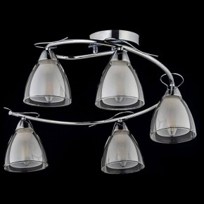 Потолочная люстра Arti Lampadari Paola, Tavenna Nickel Paola E 1.1.5 N в Нижневартовске - nizhnevartovsk.mebel24.online | фото 2