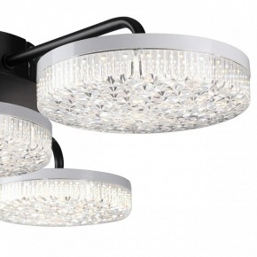 Потолочная люстра Lumion Didana 8236/4CL в Нижневартовске - nizhnevartovsk.mebel24.online | фото 7