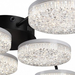 Потолочная люстра Lumion Didana 8236/6CL в Нижневартовске - nizhnevartovsk.mebel24.online | фото 9
