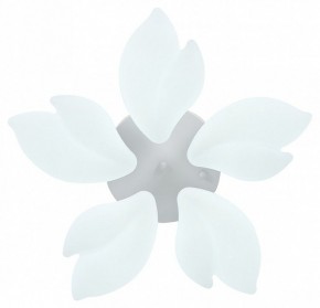 Потолочная люстра Natali Kovaltseva Effect LED LAMPS 81116 в Нижневартовске - nizhnevartovsk.mebel24.online | фото 3