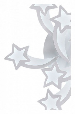 Потолочная люстра Natali Kovaltseva LED LAMPS LED LAMPS 81225 в Нижневартовске - nizhnevartovsk.mebel24.online | фото 6