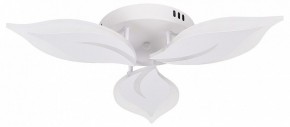 Потолочная люстра Natali Kovaltseva Sirius LED LAMPS 81164 в Нижневартовске - nizhnevartovsk.mebel24.online | фото