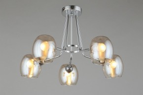 Потолочная люстра Omnilux Tesero OML-27307-05 в Нижневартовске - nizhnevartovsk.mebel24.online | фото 6