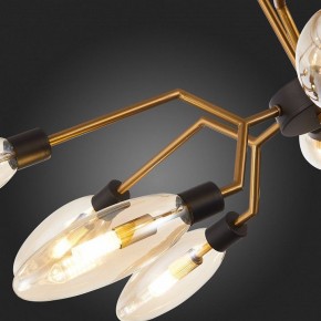 Потолочная люстра ST-Luce Desima SL1174.303.12 в Нижневартовске - nizhnevartovsk.mebel24.online | фото 10