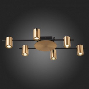 Потолочная люстра ST-Luce Veroli SL1207.402.06 в Нижневартовске - nizhnevartovsk.mebel24.online | фото 6